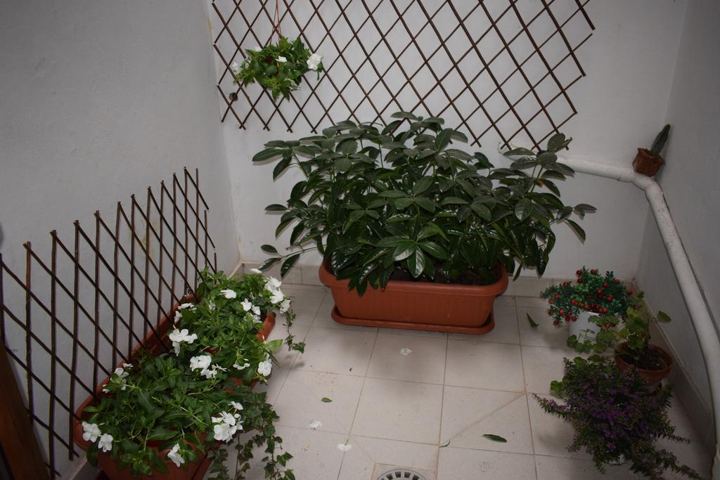 In Bocca Ai Sassi Villa Matera Oda fotoğraf